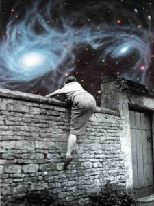 Psychedelics and Systems Change